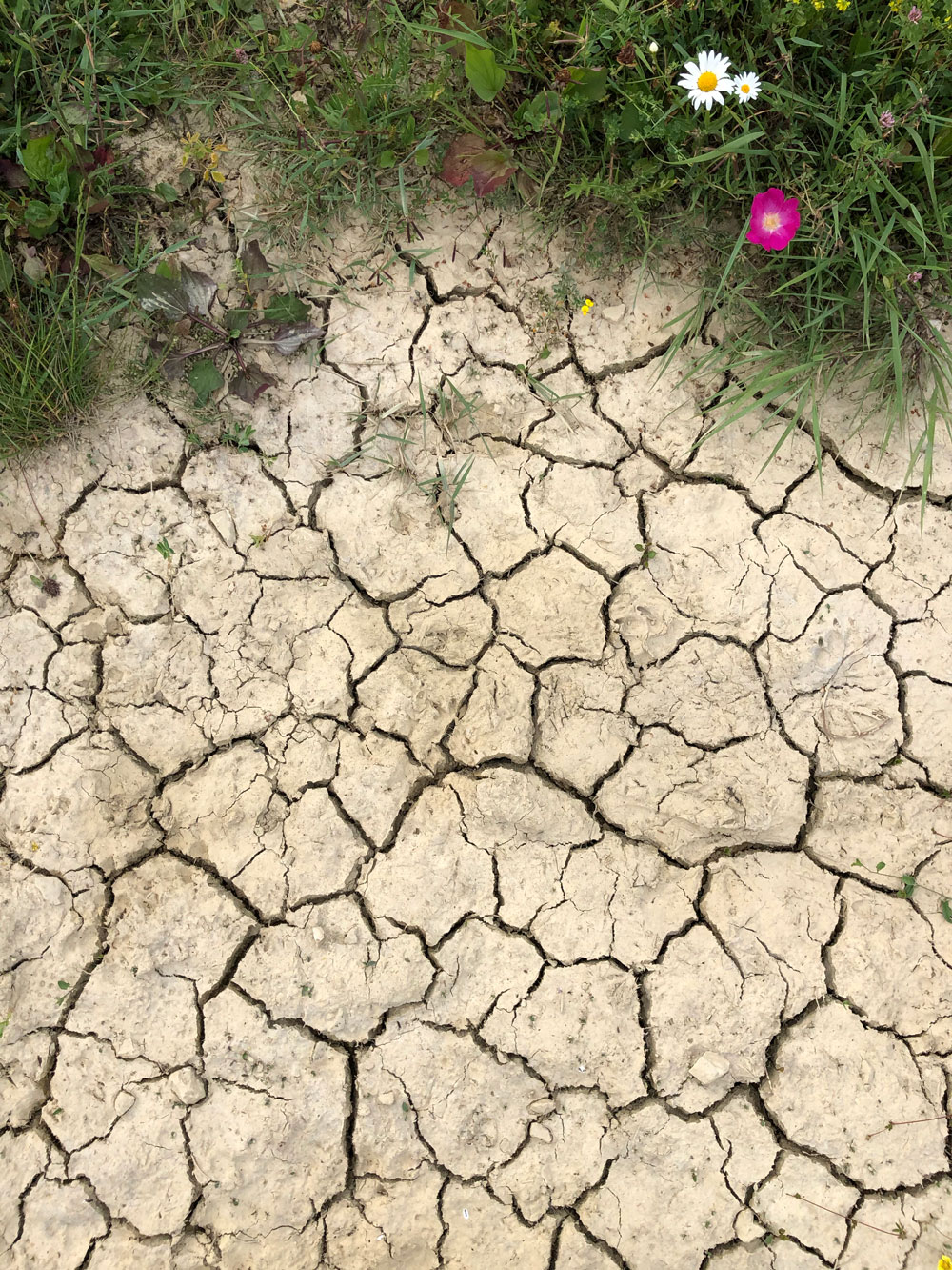 Gonflement des argiles